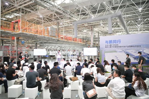 小鵬汽車銷量低迷與技術(shù)爭(zhēng)議 雙重挑戰(zhàn)下的突圍之路